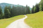 2014-07-05_Laengental-N-Hochweg (283). JPG